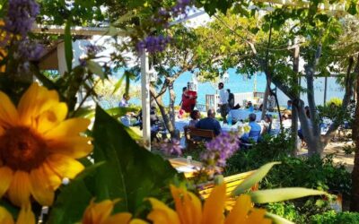 Heiraten auf Samos: Zwischen glasklarer Ägäis und imposanter Naturkulisse